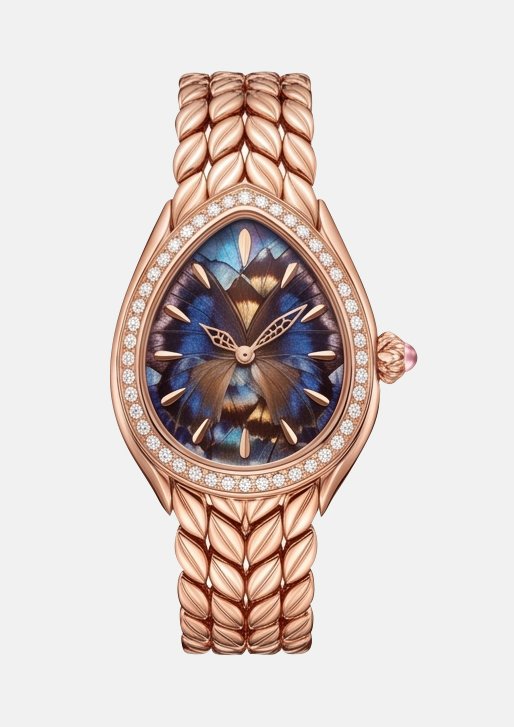 Watch on model source image